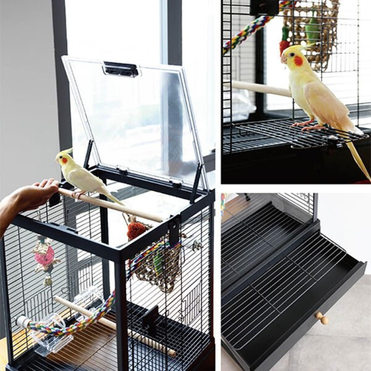 Dayang Kırılmaz Camlı Kuş Kafesi Beyaz 39.5x43x51.3 Cm