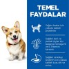 Hills Adult Small Küçük Irk Kuzulu Yetişkin Köpek Maması 5 Kg+1 Kg Hediyeli