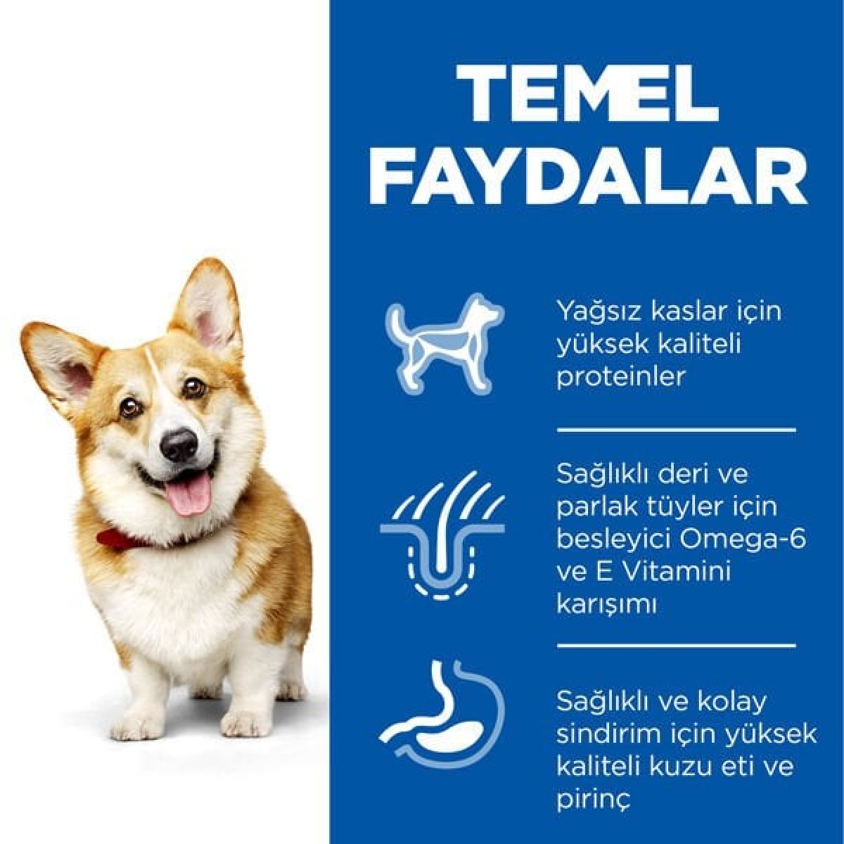 Hills Adult Small Küçük Irk Kuzulu Yetişkin Köpek Maması 5 Kg+1 Kg Hediyeli