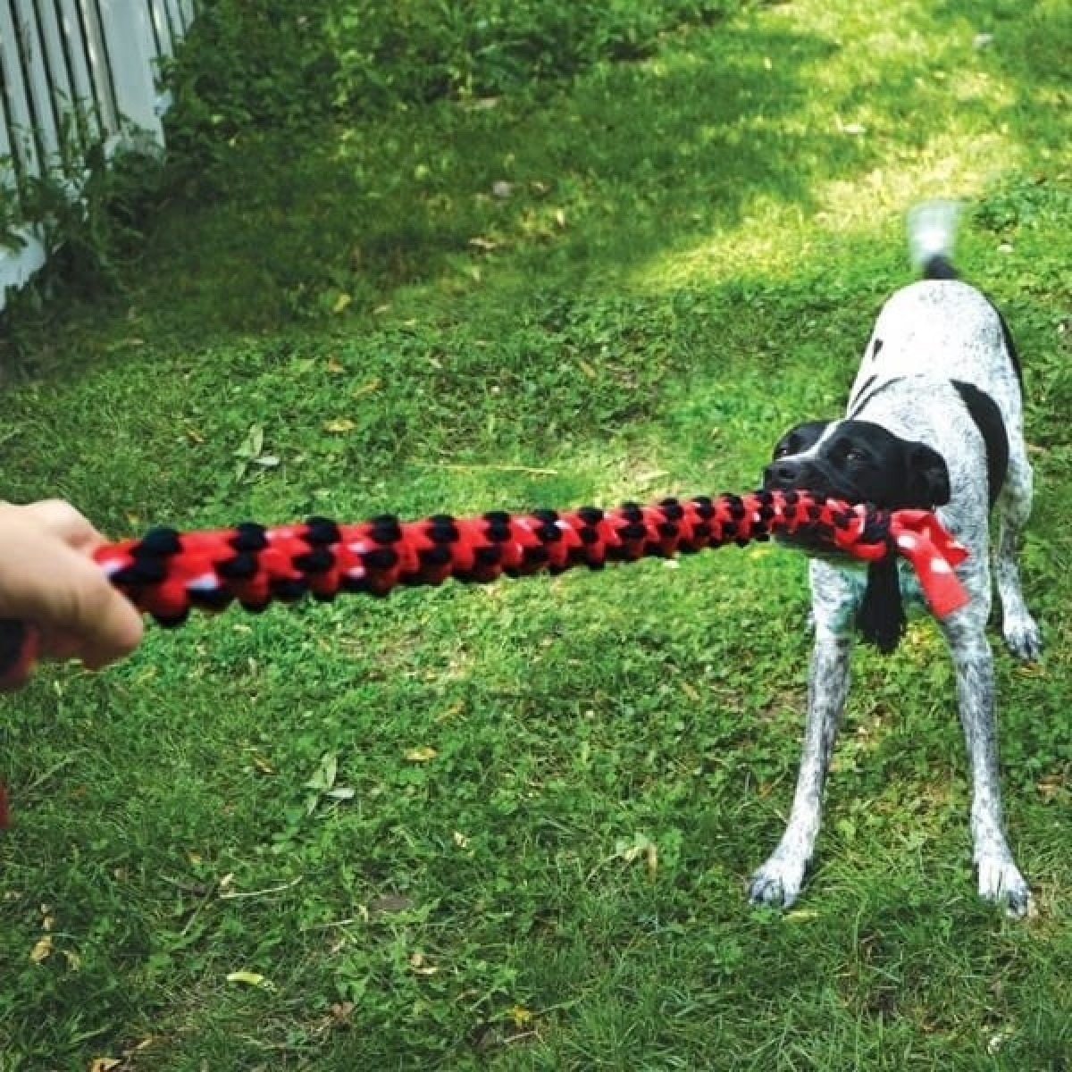 Kong Signature Rope Çift Düğümlü İp Köpek Oyuncağı 101 Cm