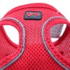 Tailpetz Air Mesh Harness Köpek Göğüs Tasması Xxxsmall Kırmızı 20-24x24-28 Cm