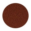 Tropical Goldfish Colour Pellet Japon Balıkları için Pellet Balık Yemi 100 Ml 36 Gr